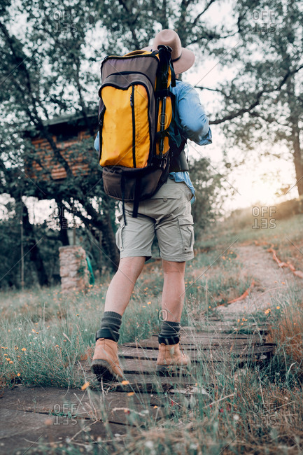 Low angle back view of male traveler with backpack walking in forest towards a wooden house on tree