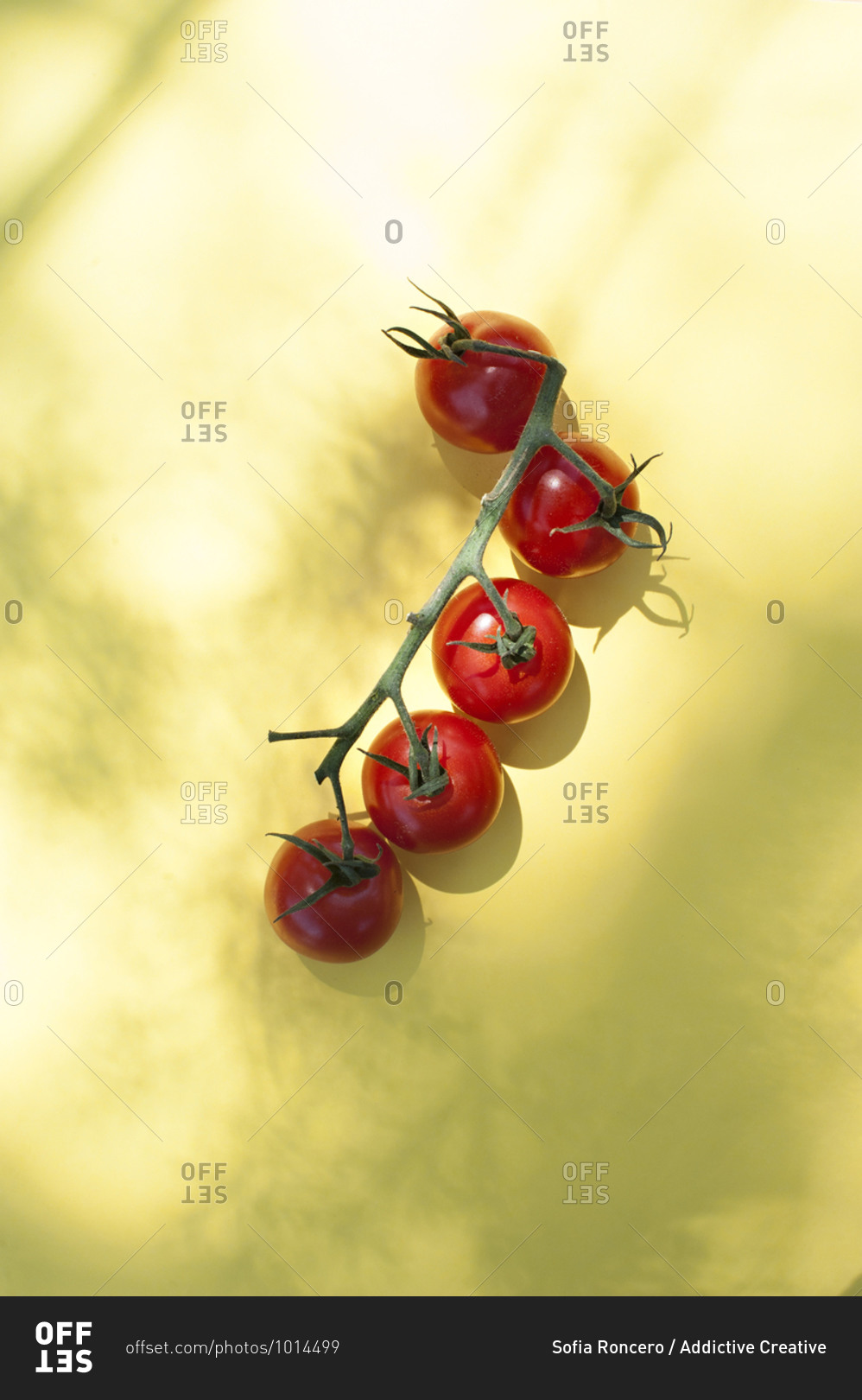 Top view of bunch of ripe red cherry tomatoes with green stems placed on yellow background