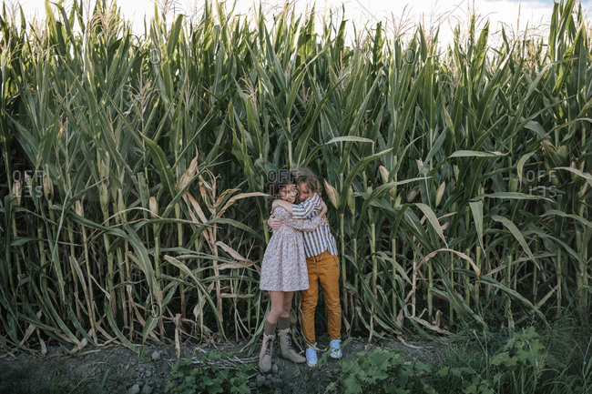Siblings hugging in a corn field