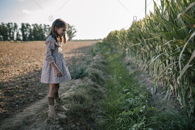 Caucasian girl in a corn field