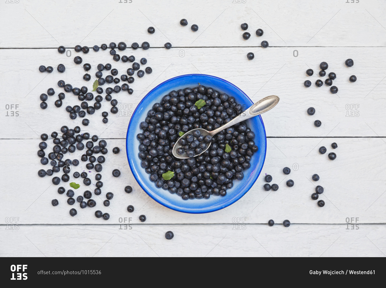 Bowl of fresh wild blueberries