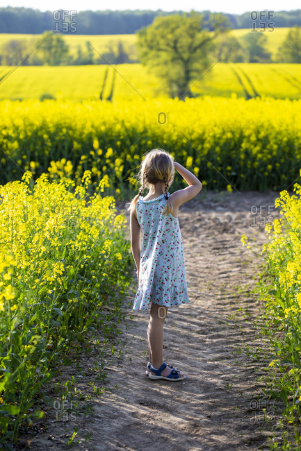 Girl standing in farm of rapeseed field