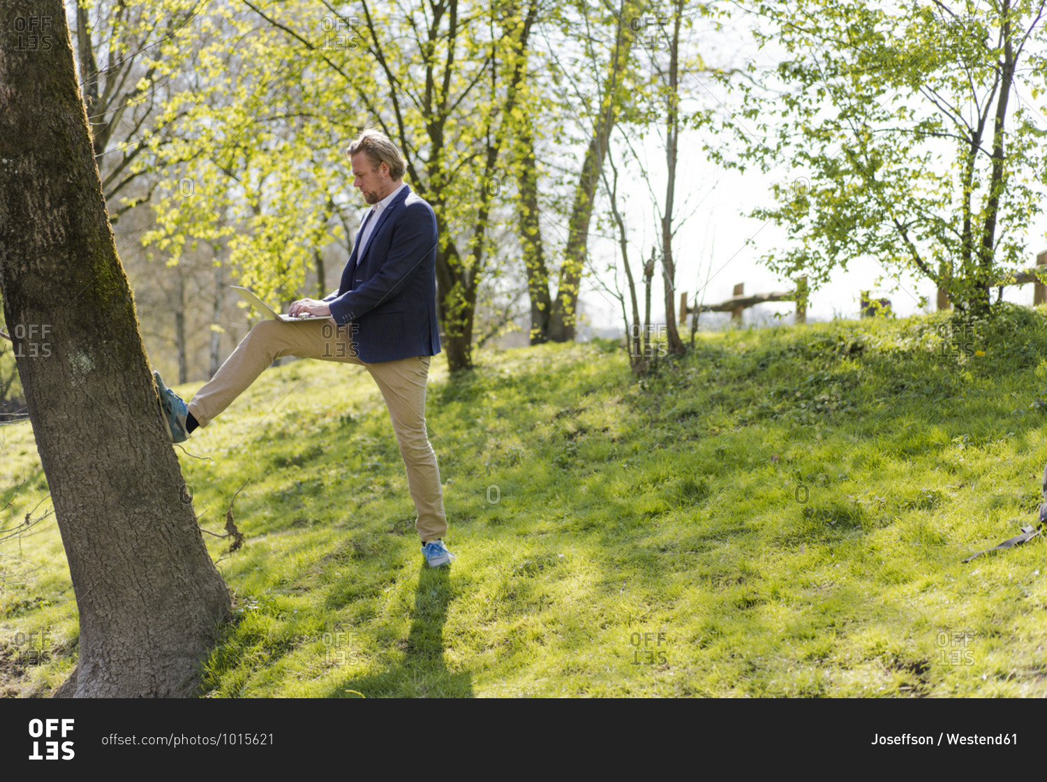 Male entrepreneur using laptop while leaning on tree trunk at park during sunny day