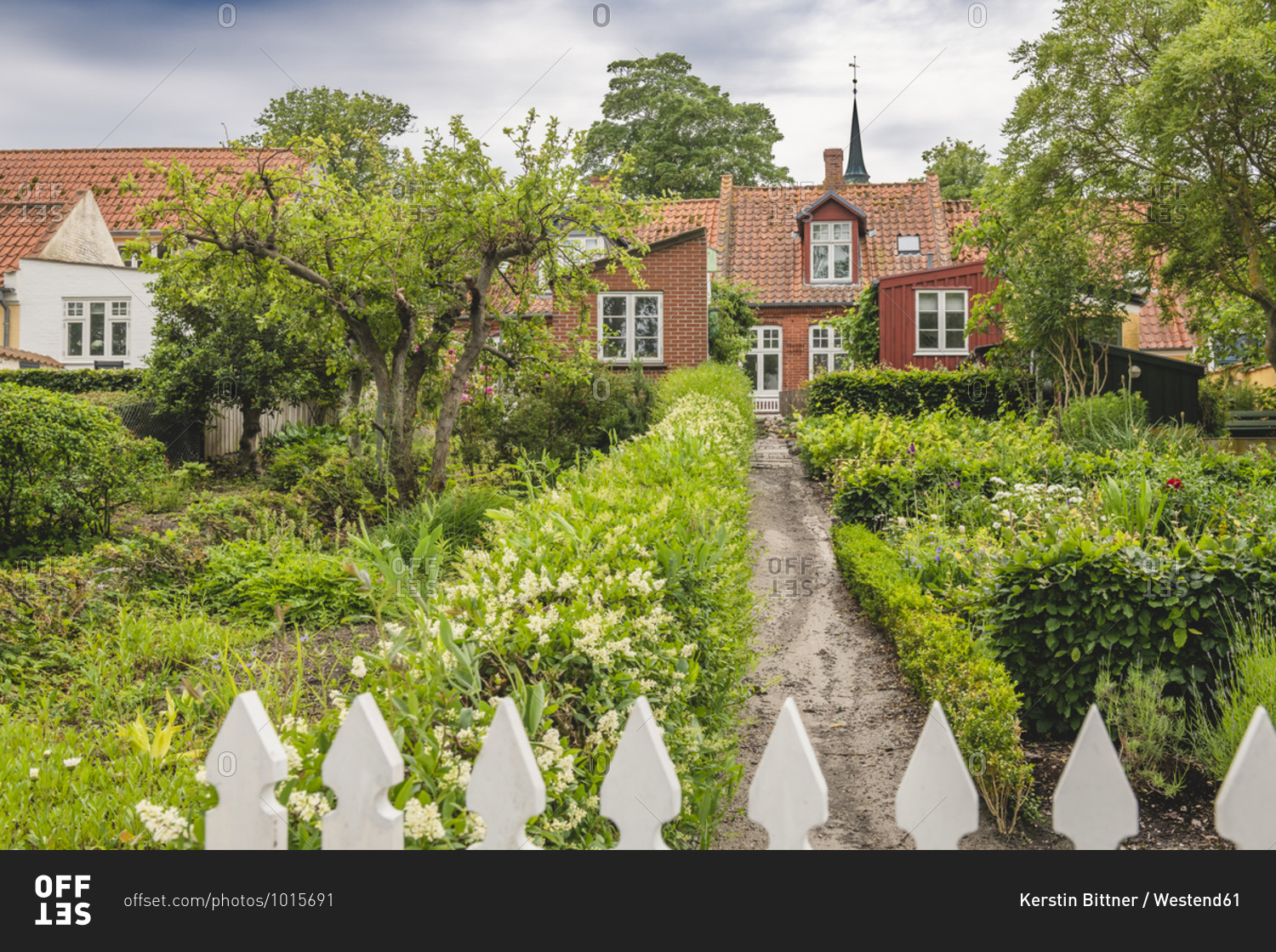 Denmark- Region of Southern Denmark- Aeroskobing- Flowers blooming in front yard of traditional Danish house