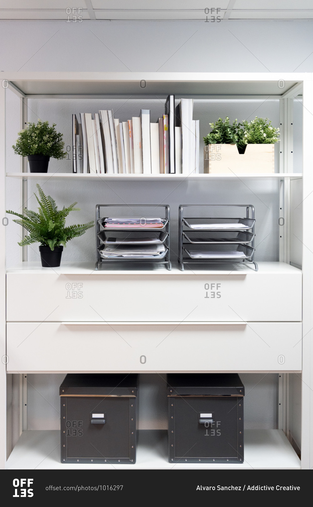Various books and office paper trays with documents arranged on shelves with green potted plants and archive boxes in contemporary light workspace