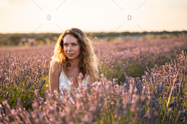 Carefree romantic young female in summer outfit sitting amidst lavender field looking away in summer evening