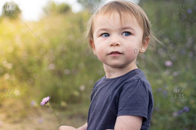 Side view of serious attentive little toddler examining wild flowers while standing on path in grassy field in summer day