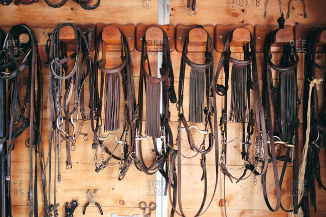 Collection of assorted harness and tools for horseback riding hanging on wooden wall in barn on ranch