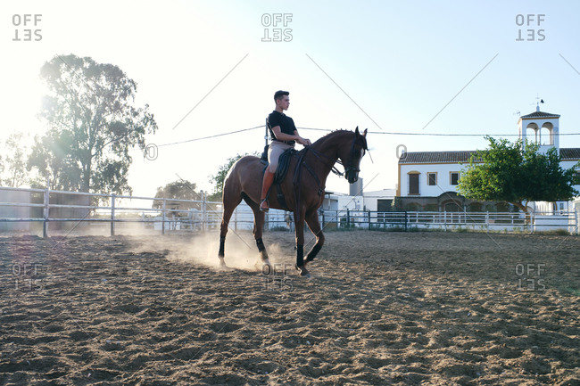 Side view of male equestrian in boots and uniform riding horse on sand arena on ranch during training
