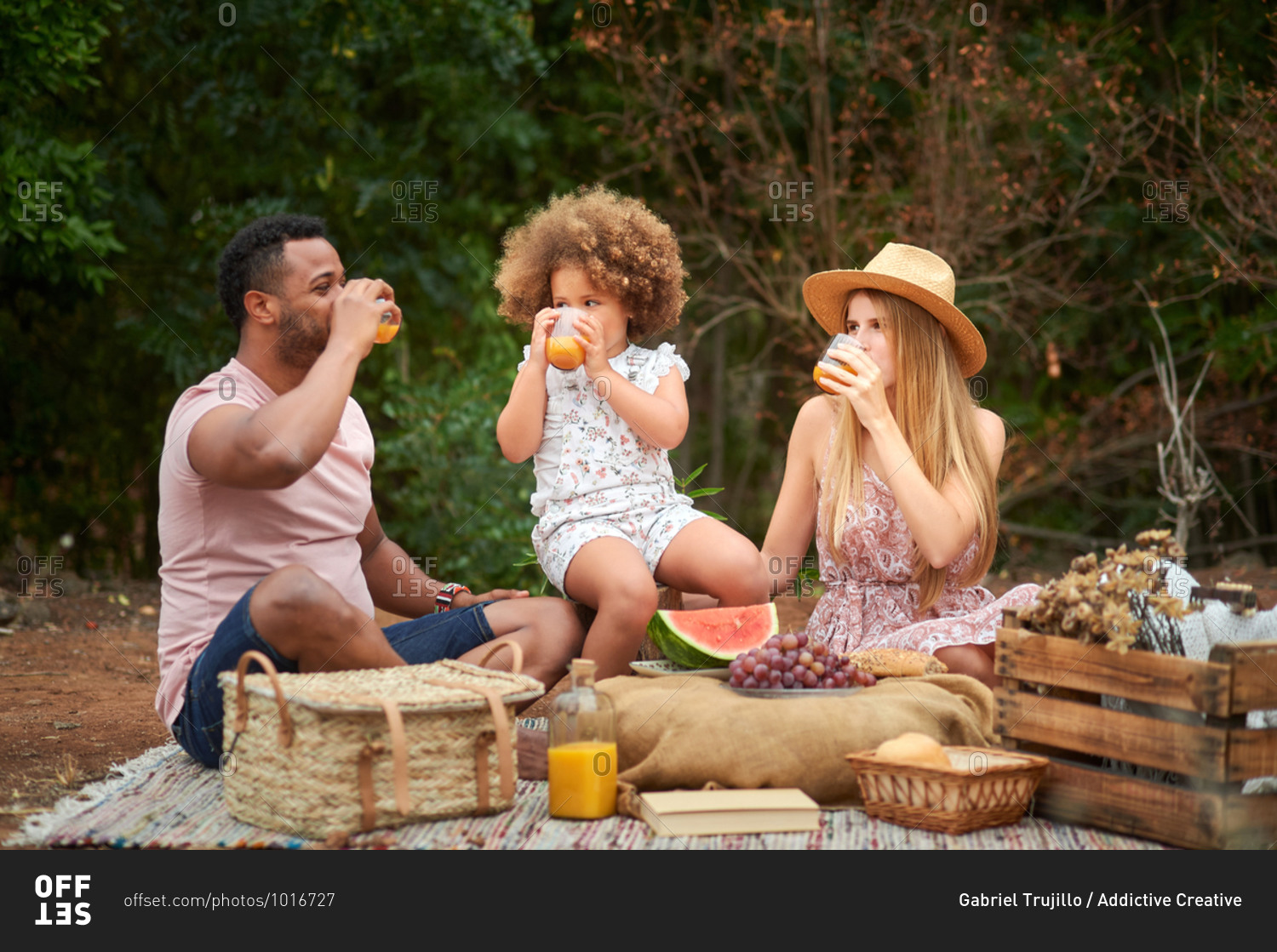 Positive healthy mixed race family with little daughter drinking natural orange juice while having picnic with fresh fruits in summer day in nature