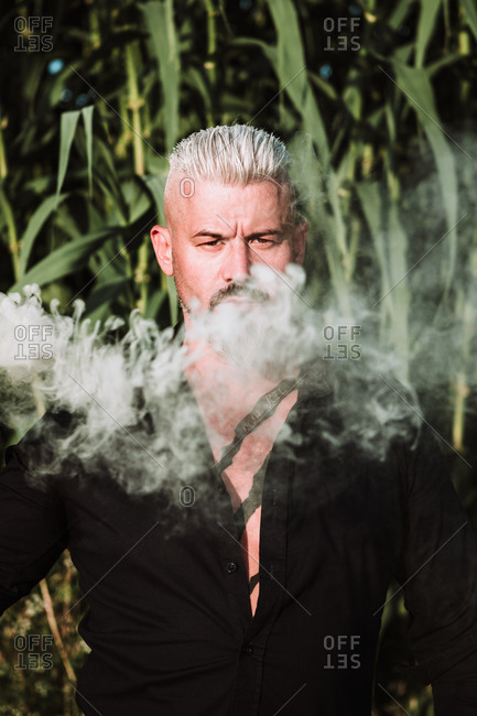 Serious brutal gray haired male with beard and mustache holding smoke bomb and looking at camera while standing against tall corn plants in field