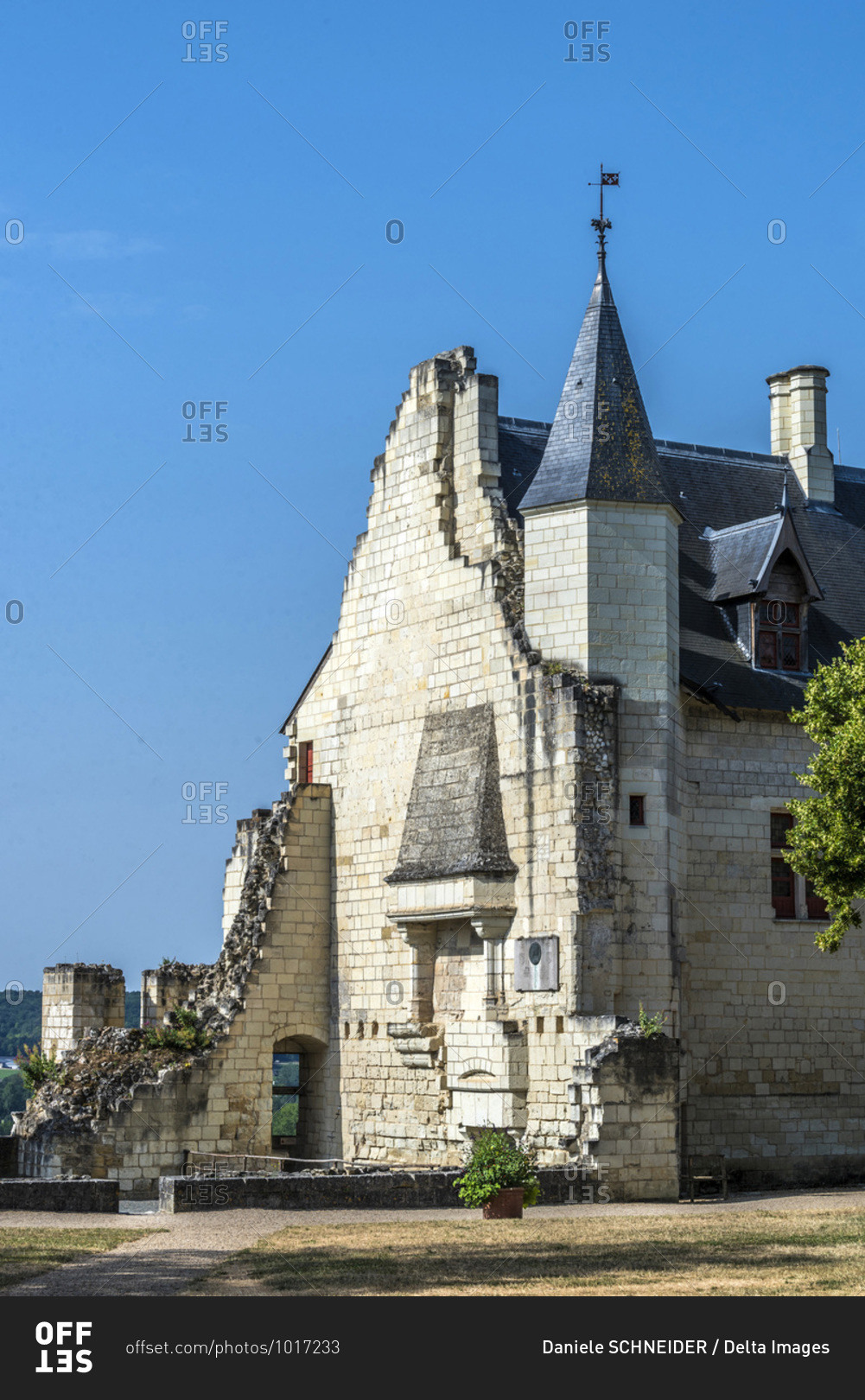 France,  Center-Val de Loire,  Indre-et-Loire,  Royal Fortress of Chinon,  royal house