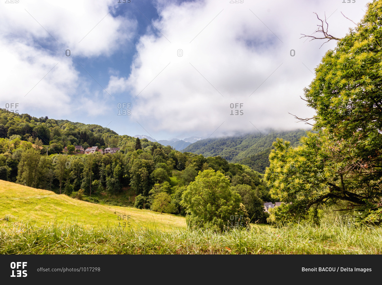 View of the fields in the department of Ariege,  in the Pyrenees,  Occitanie region,  France