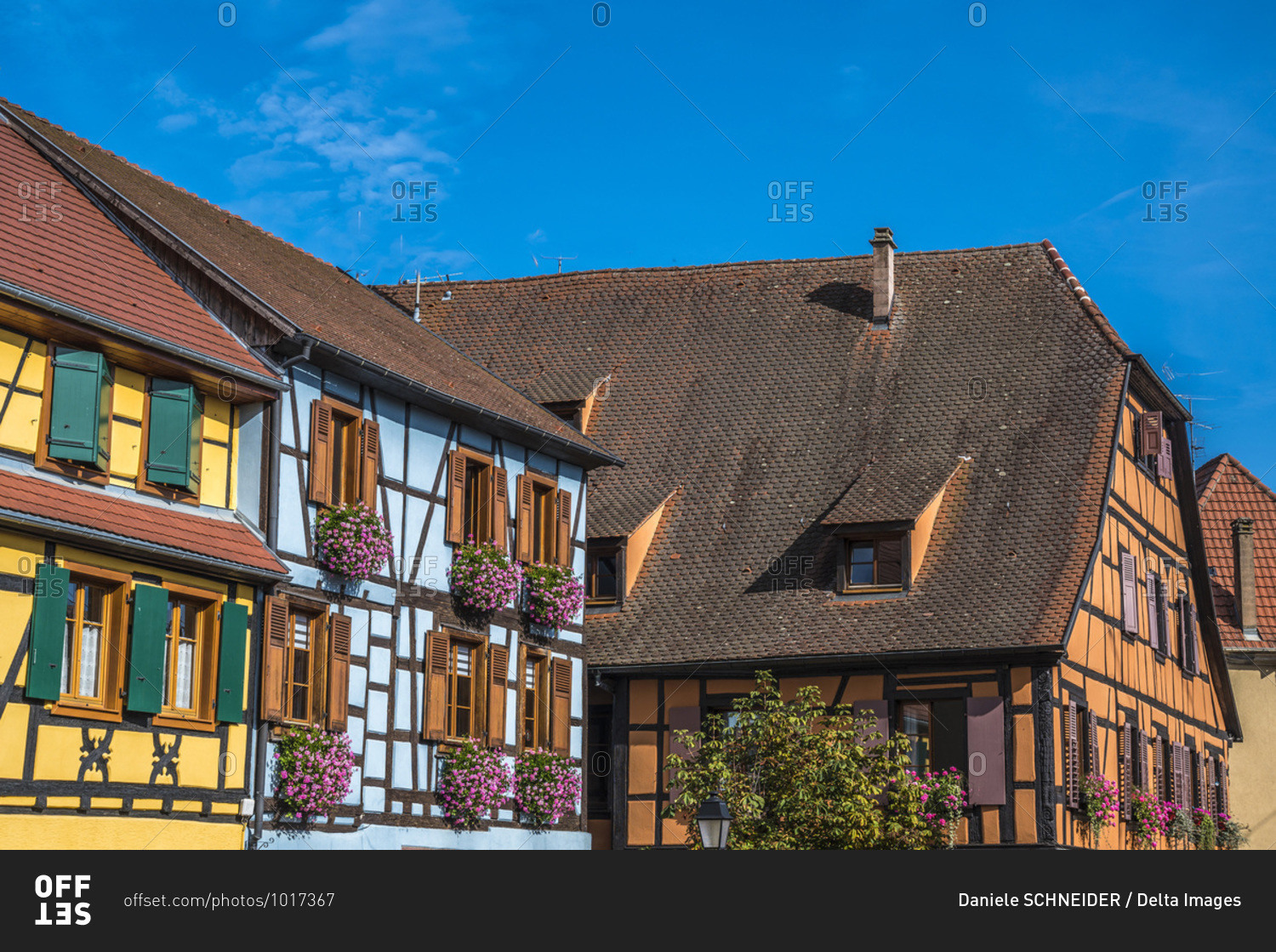 France,  Alsace,  Wine Route,  Ribeauville,  half-timbered houses