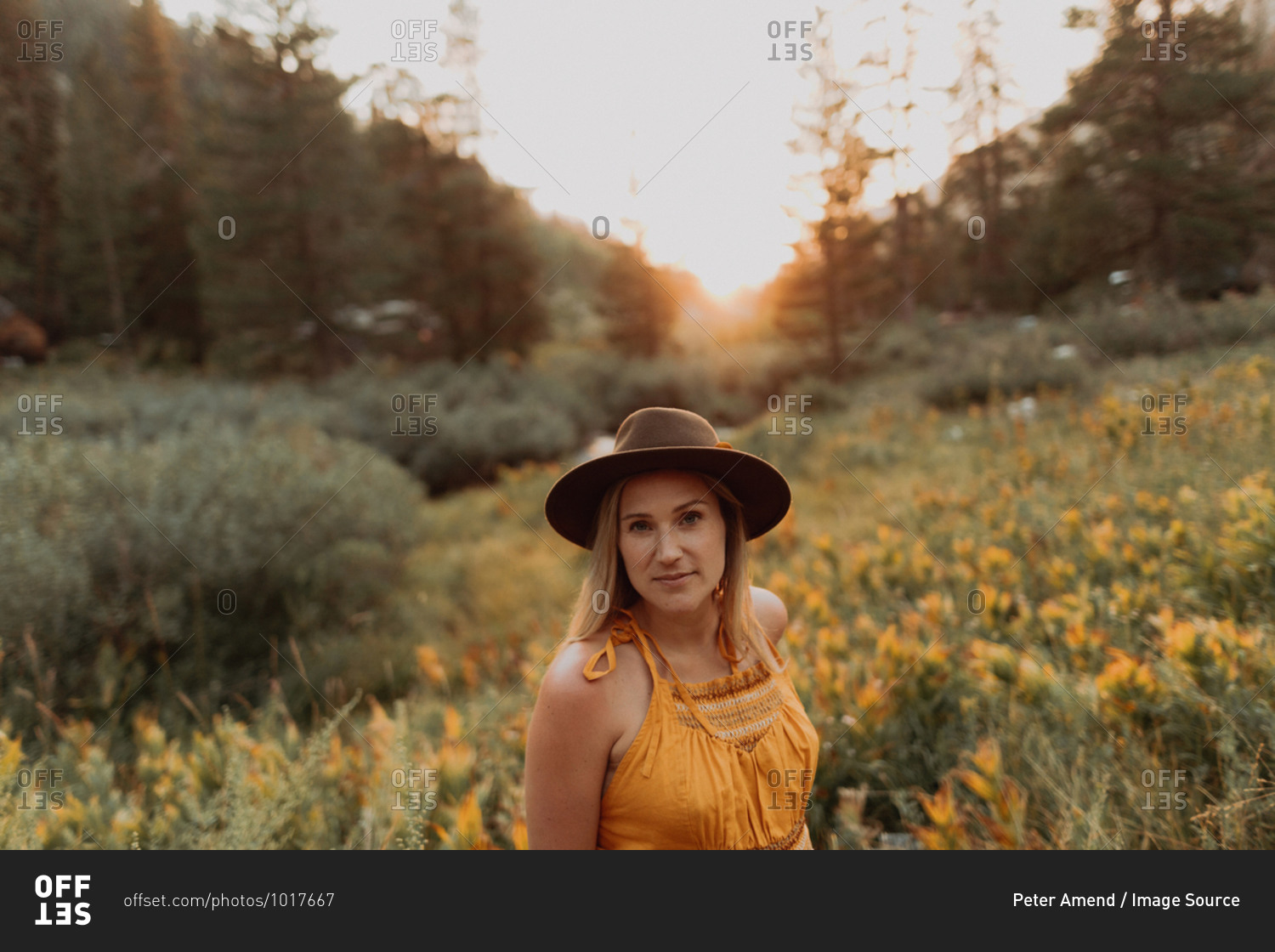 Mid adult woman in felt hat amongst wildflowers at sunset in rural valley, portrait, Mineral King, California, USA