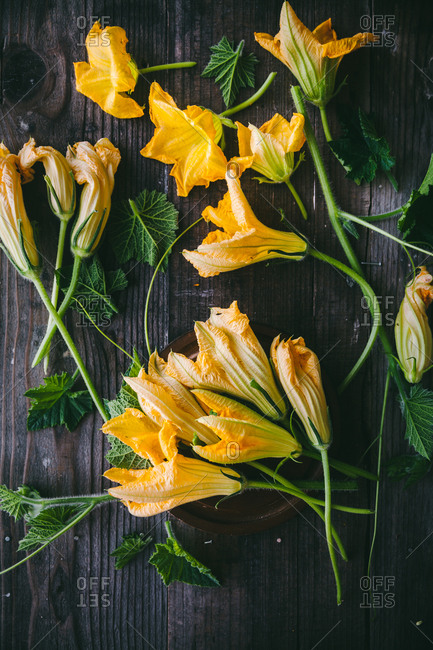 Zucchini blossom flowers on rustic wooden surface
