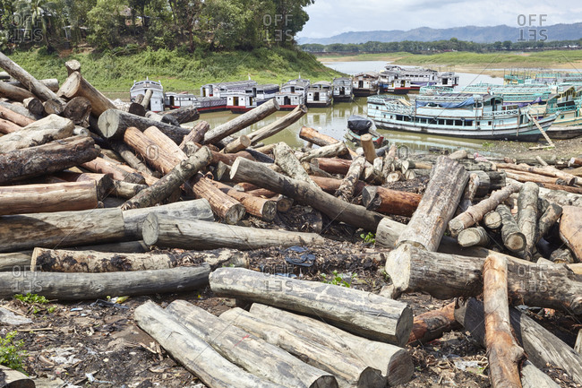 Logs on the shore of Kaptai Lake, Rangamati, Bangladesh