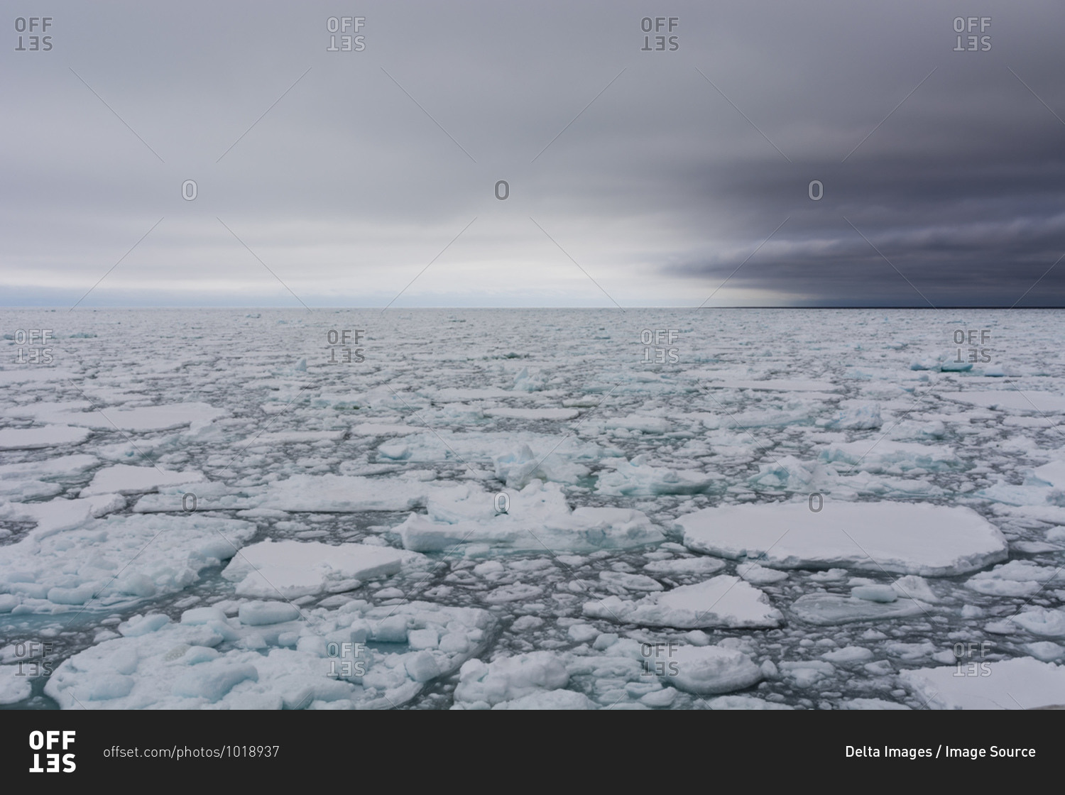 Floating pieces of pack ice, Polar Ice Cap, 81north of Spitsbergen, Norway