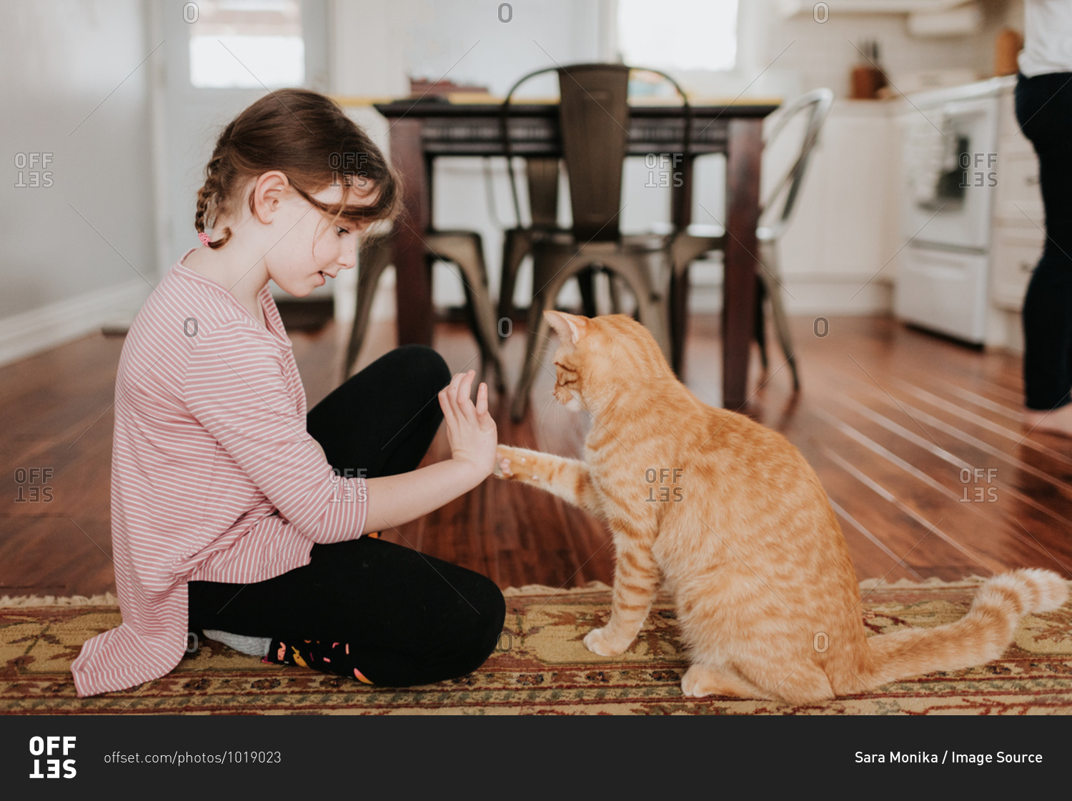Girl playing with cat at home