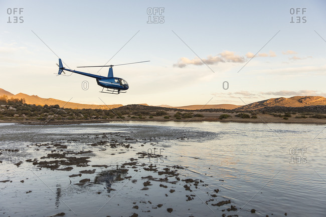 Helicopter flying above watering hole, Cape Town, Western Cape, South Africa