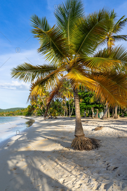 Caribbean, Greater Antilles, Dominican Republic, Samana, Las Galeras, Playa Grande beach in Las Galeras