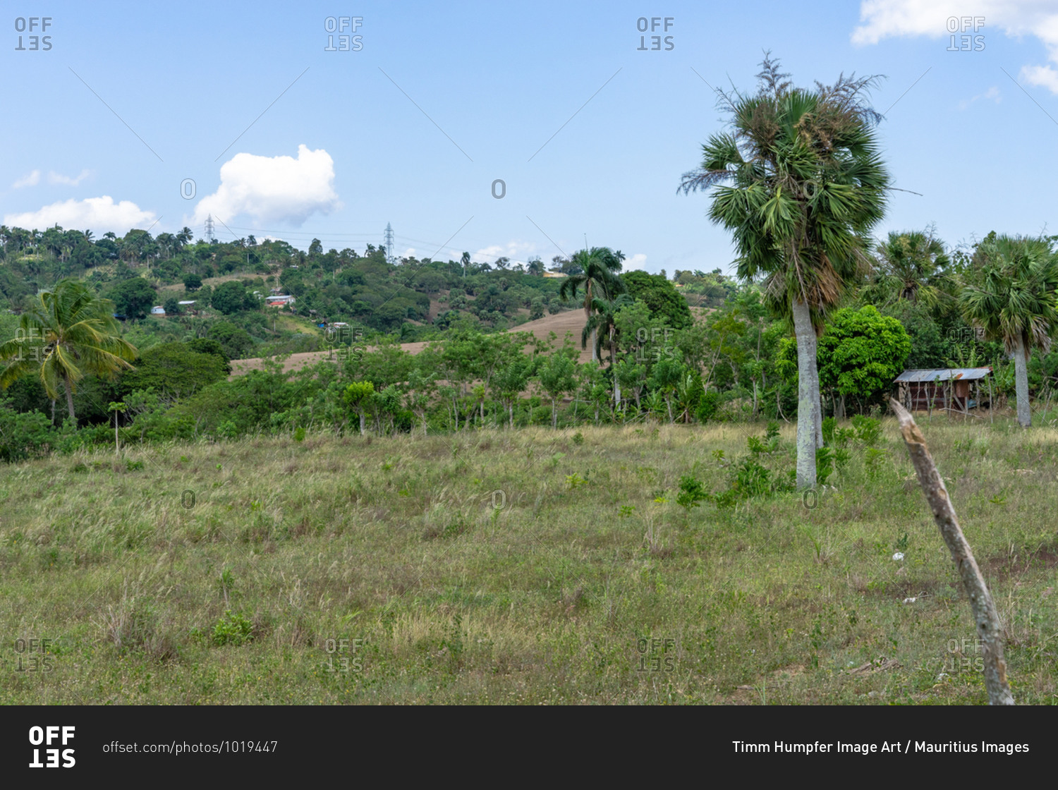 Greater Antilles, Dominican Republic, Santiago, Rural area near Santiago de los 30 Caballeros
