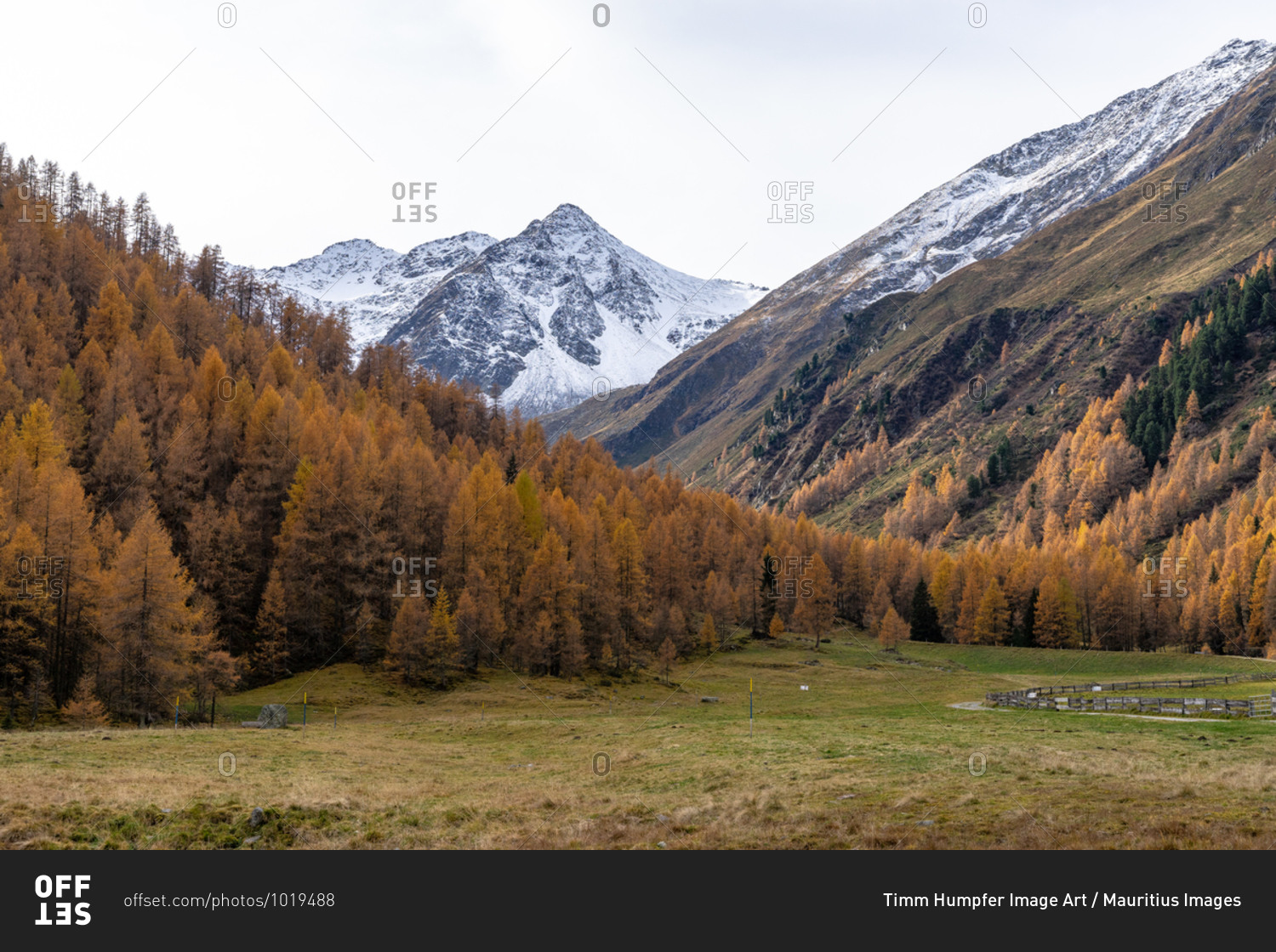 Europe, Austria, Tyrol, Stubai Alps, St. Sigmund im Sellrain, view of the autumnal mountains at the Scharmer Alm in Haggen im Sellrain