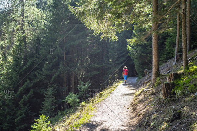 Europe, Austria, Tyrol, Stubai Alps, Neustift im Stubaital, woman hikes through a mountain forest to the Gschmitz natural site in the Stubai Valley