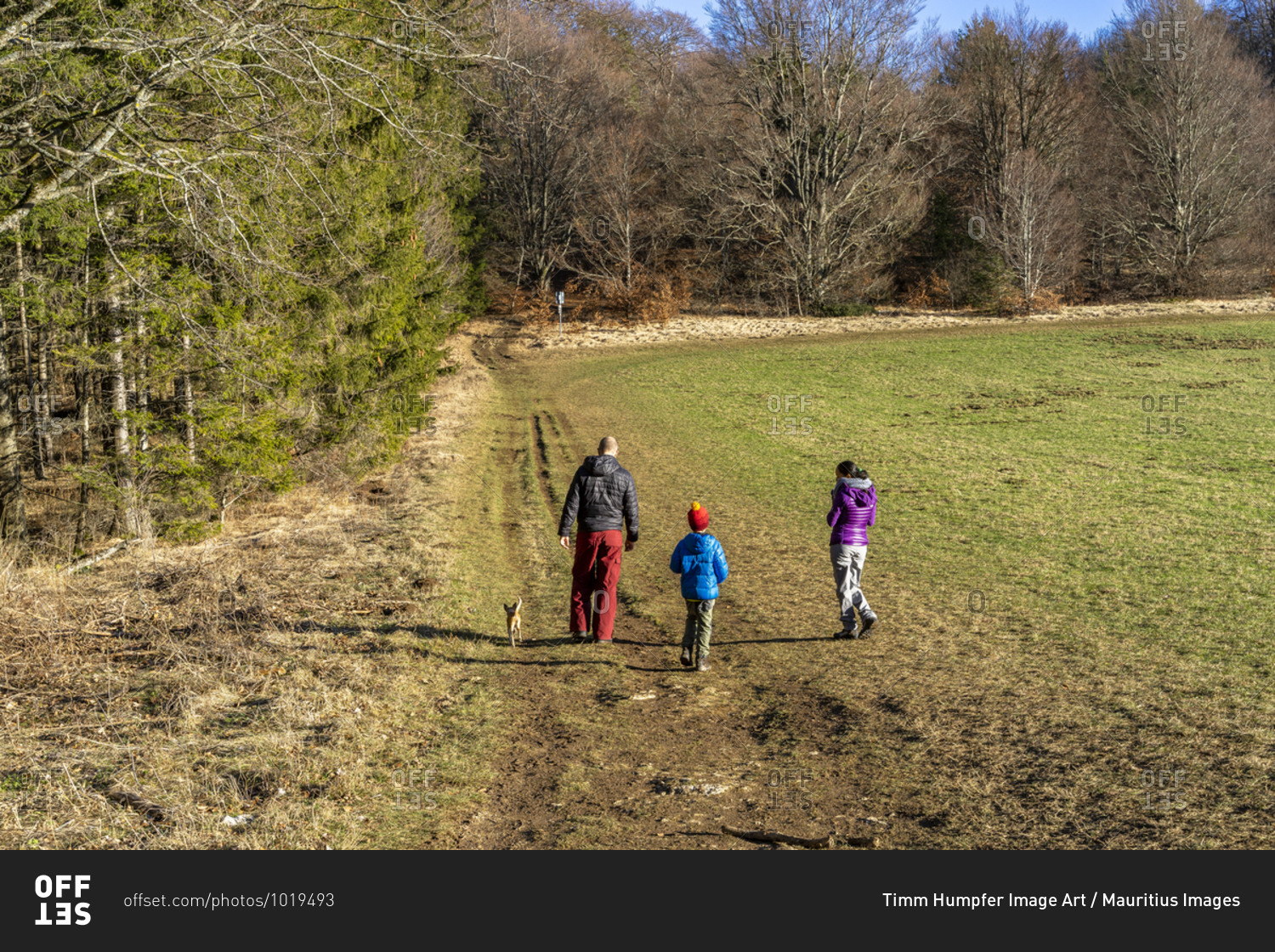 Europe, Germany, Baden-Wuerttemberg, Swabian Jura, Albstadt, family with dog on a hike on the Swabian Jura on a sunny winter day
