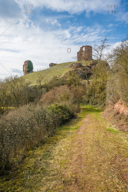 Castro Weitersheim, castle ruins Gutenburg, near Gutenberg, vineyard around the castle hill