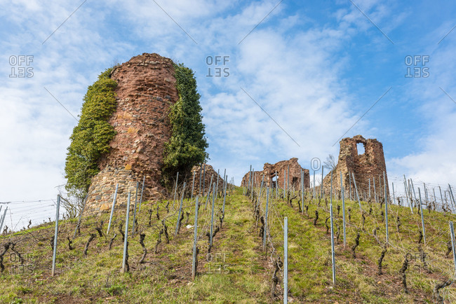 Castro Weitersheim, castle ruins Gutenburg, near Gutenberg, vineyard around the castle hill