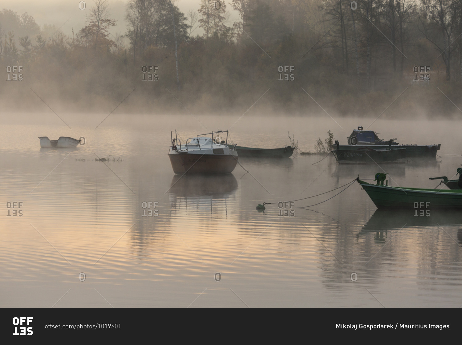 Europe, Poland, Silesian Voivodeship, Jezioro Zywieckie / Zywiec Lake, boats, fog