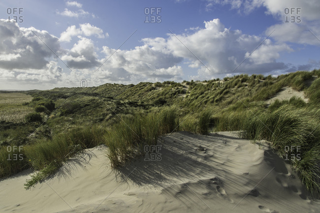 Dune landscape on the North Sea island of Ameland
