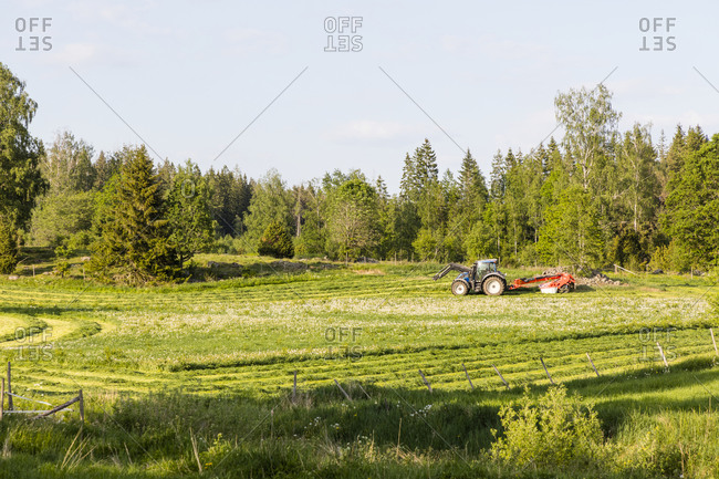 Tractor mowing grass on meadow