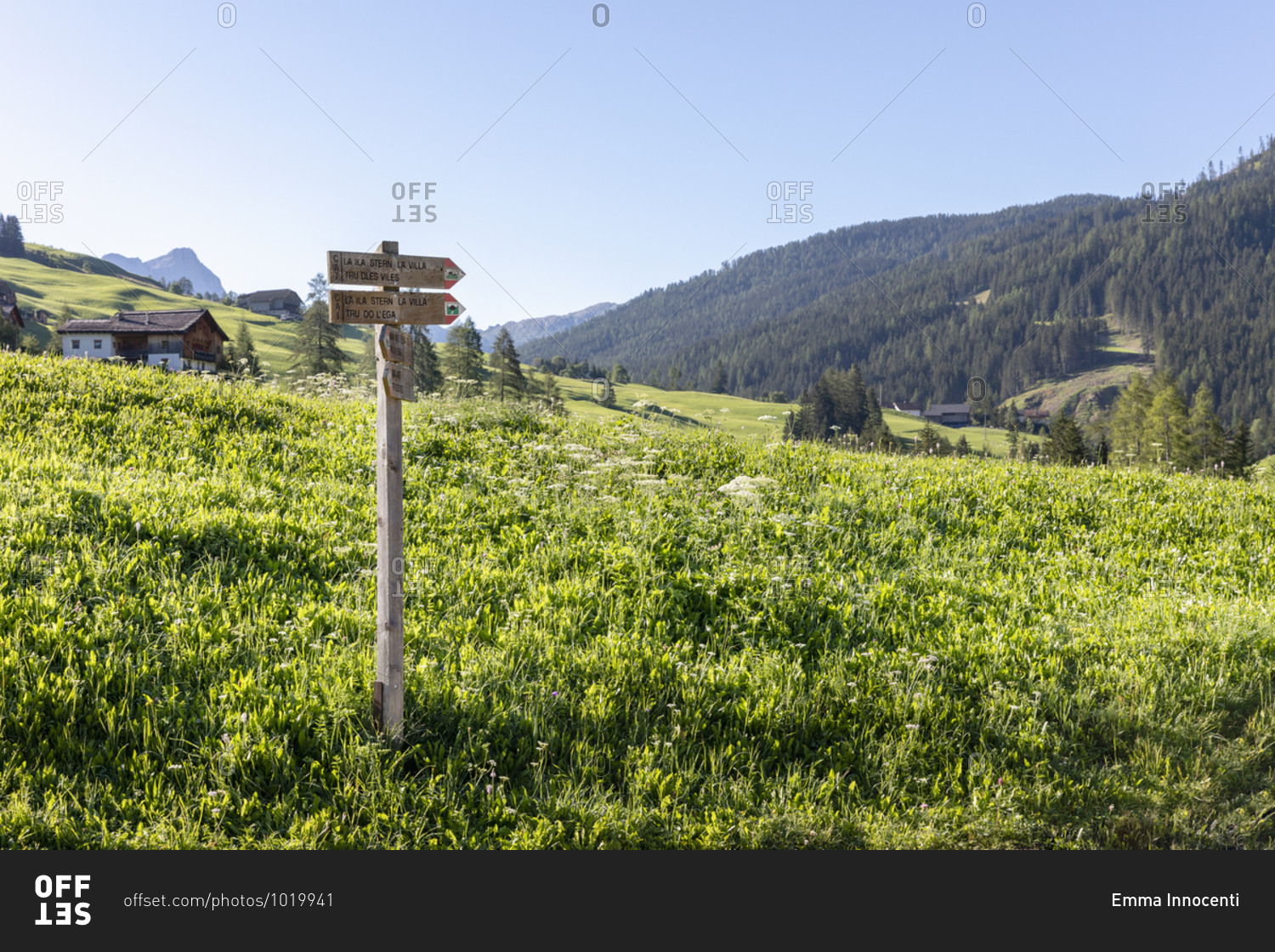 Sign with wooden pointers located on grassy hill slope near village in Val Badia valley on sunny summer day in Dolomites mountains in Italy