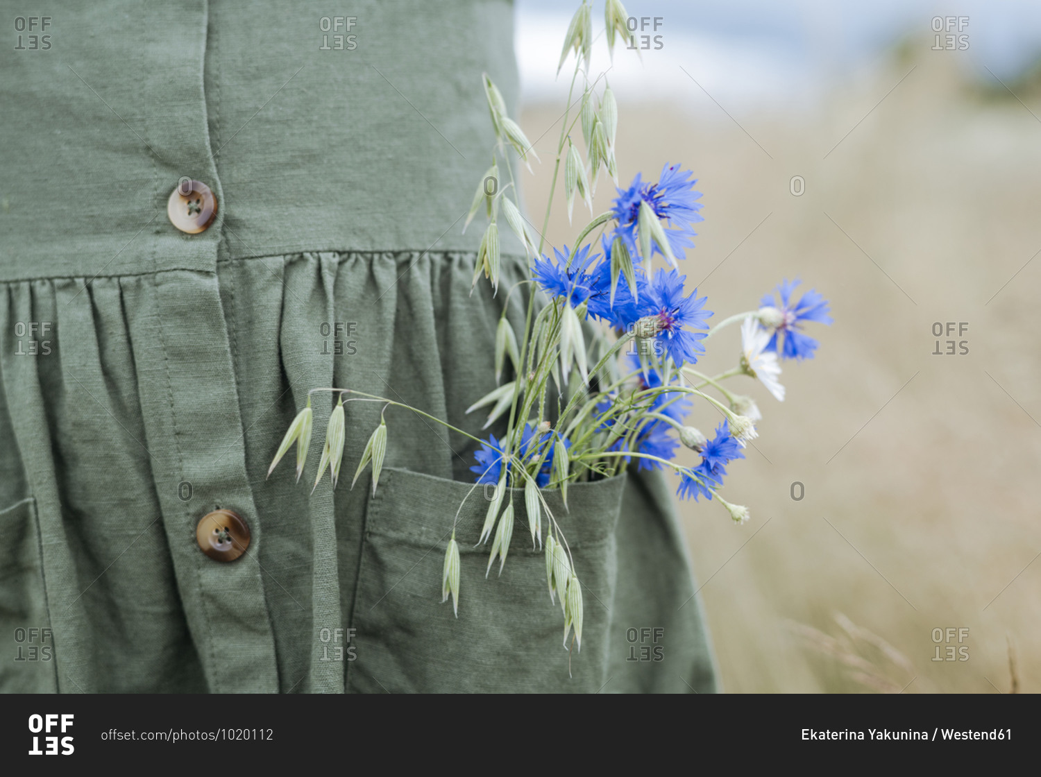 Bouquet of blue flowers and oat in the pocket of green dress
