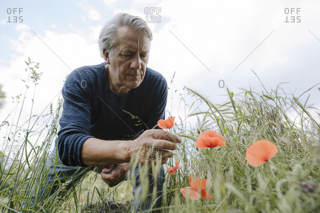 Wrinkled man looking at flower against cloudy sky