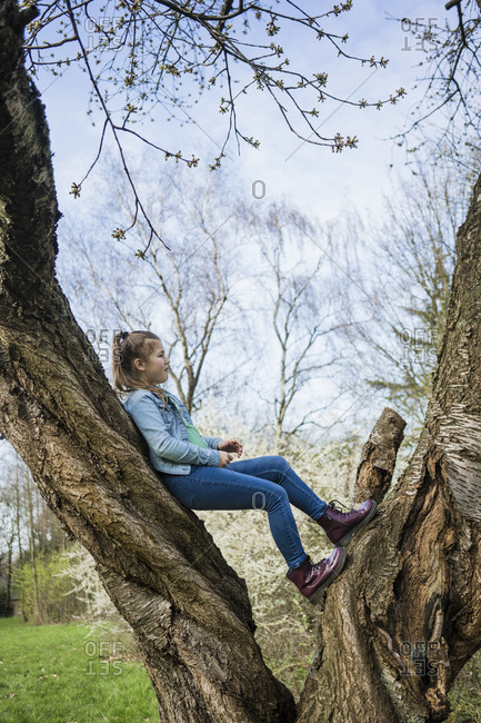 Girl standing on tree trunk in public park