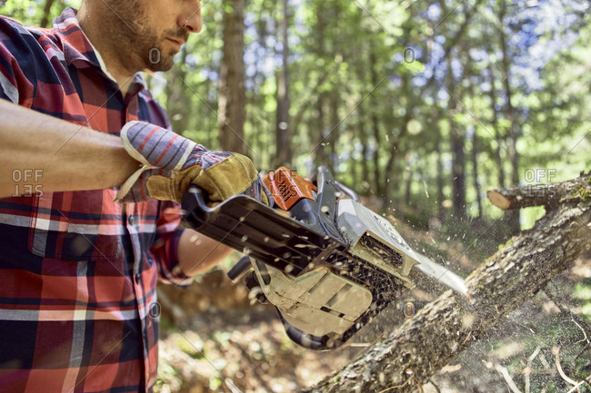 Lumberjack cutting branch with chainsaw in forest