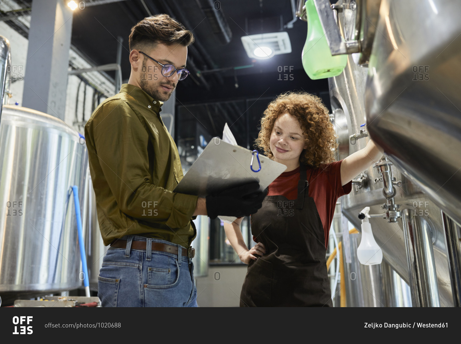 Man and woman working in craft brewery checking document