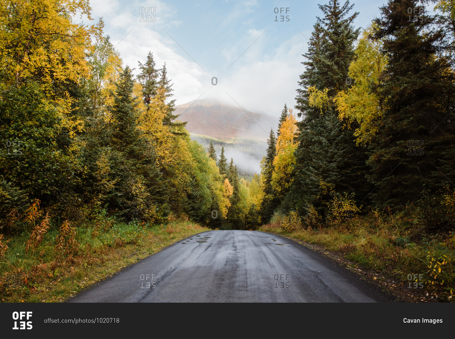 Autumn scene with road in mountains