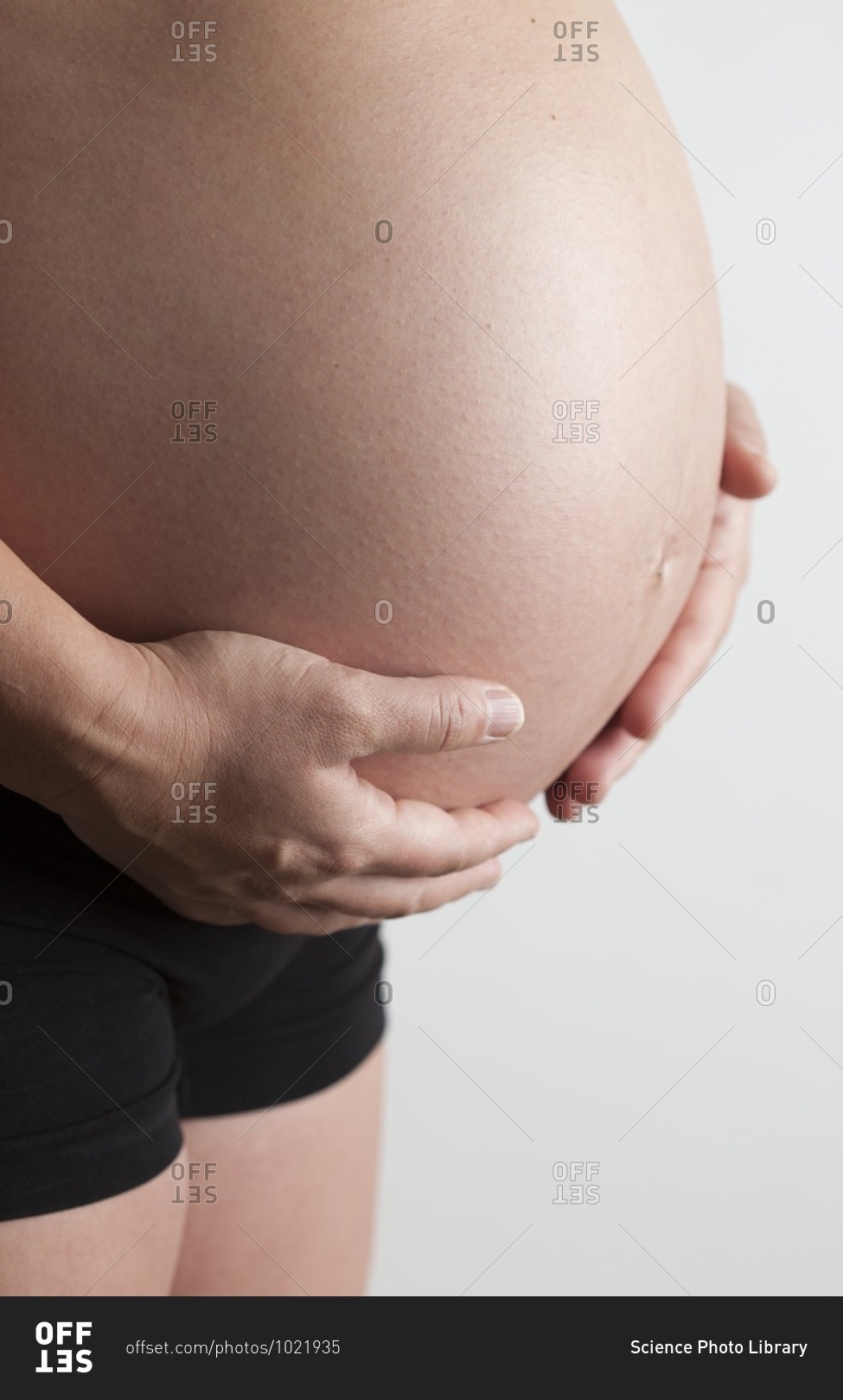 Pregnant woman wearing support underwear and holding belly - Stock Image -  C054/1961 - Science Photo Library