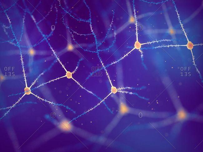 Neurone Stock Photos Offset