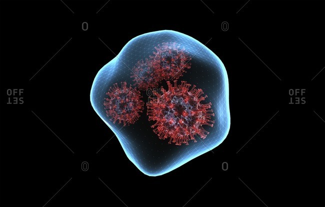 Infected droplet. 3D illustration showing one respiratory droplet containing coronavirus particles.