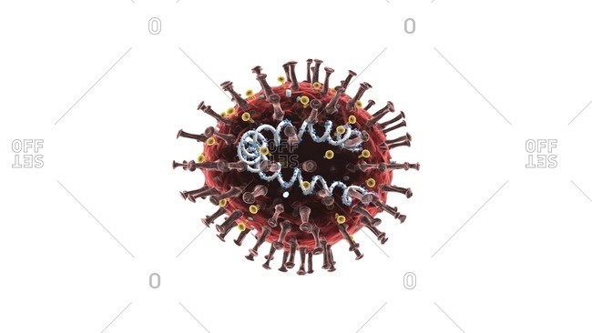 3D illustration showing the structure of a coronavirus.