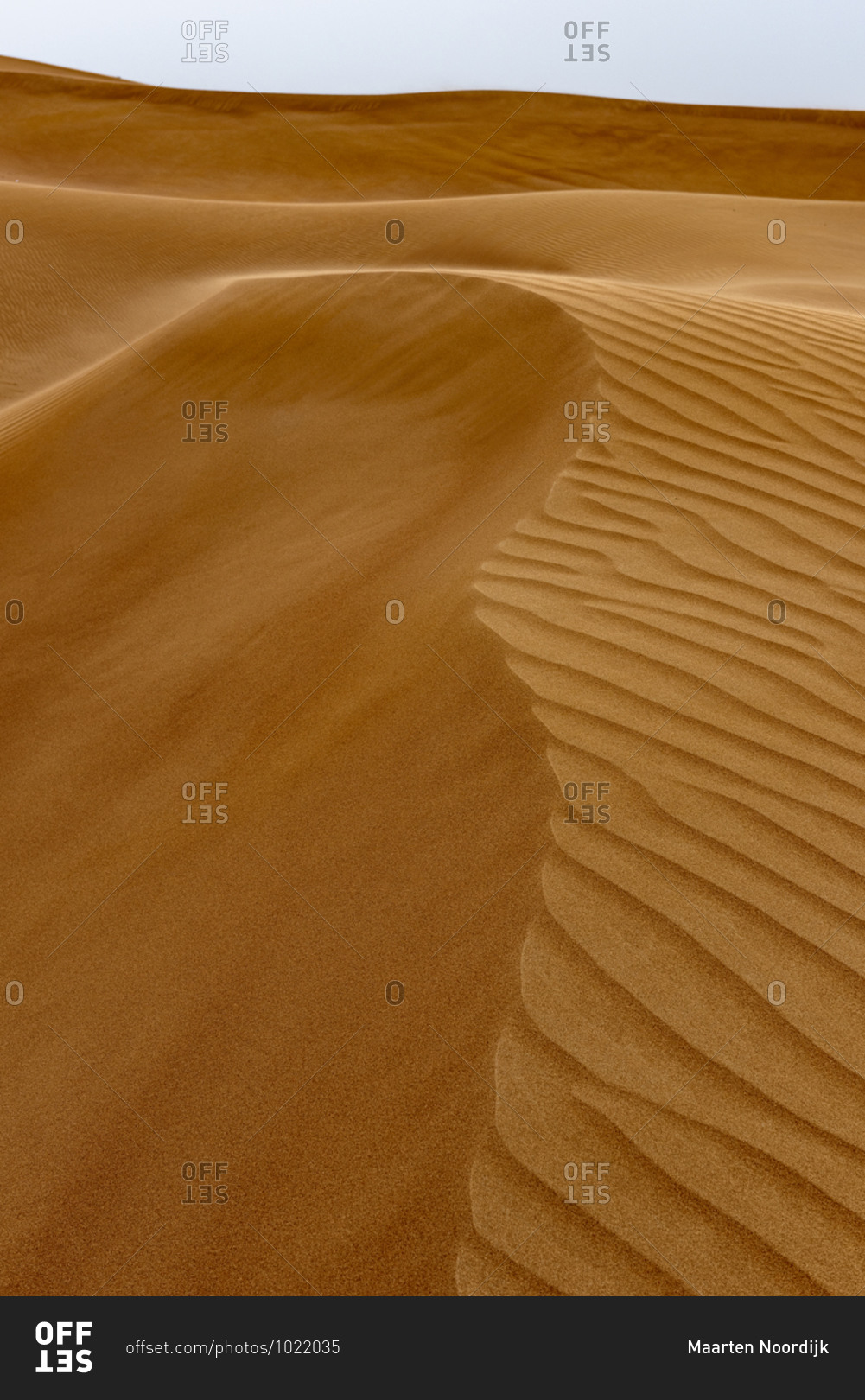 Graphical sand patters on the dunes in the desert of the United Arab Emirates