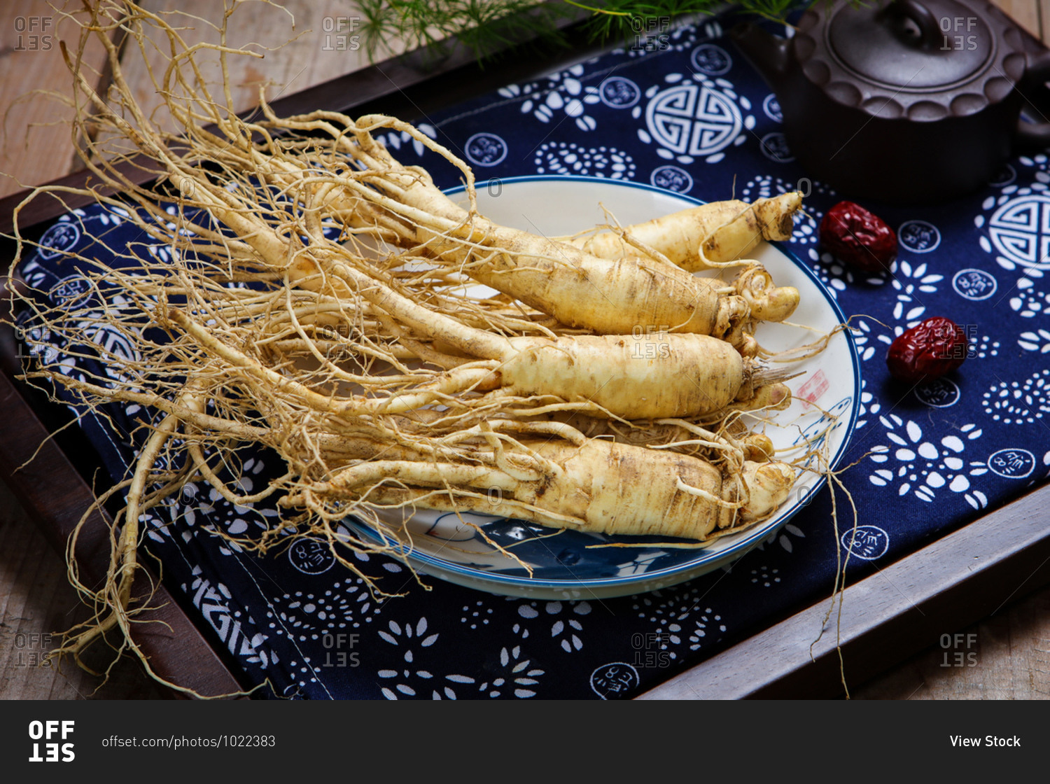 Fresh ginseng root set out on a platter