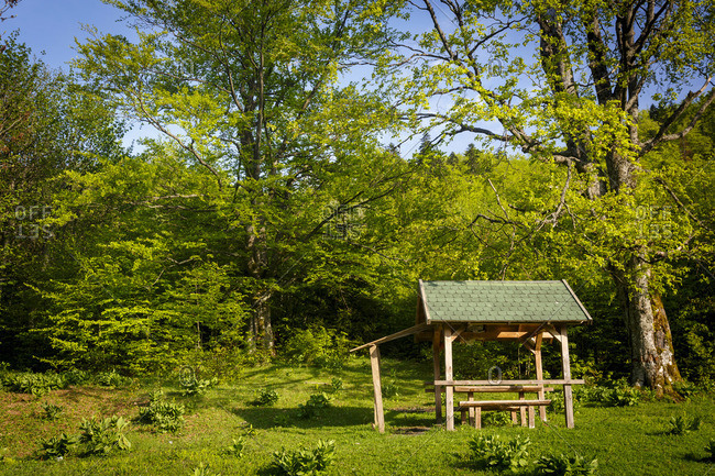 Picnic hut and trees, Pecina Megara near Tarcin, Bosnia and Herzegovina