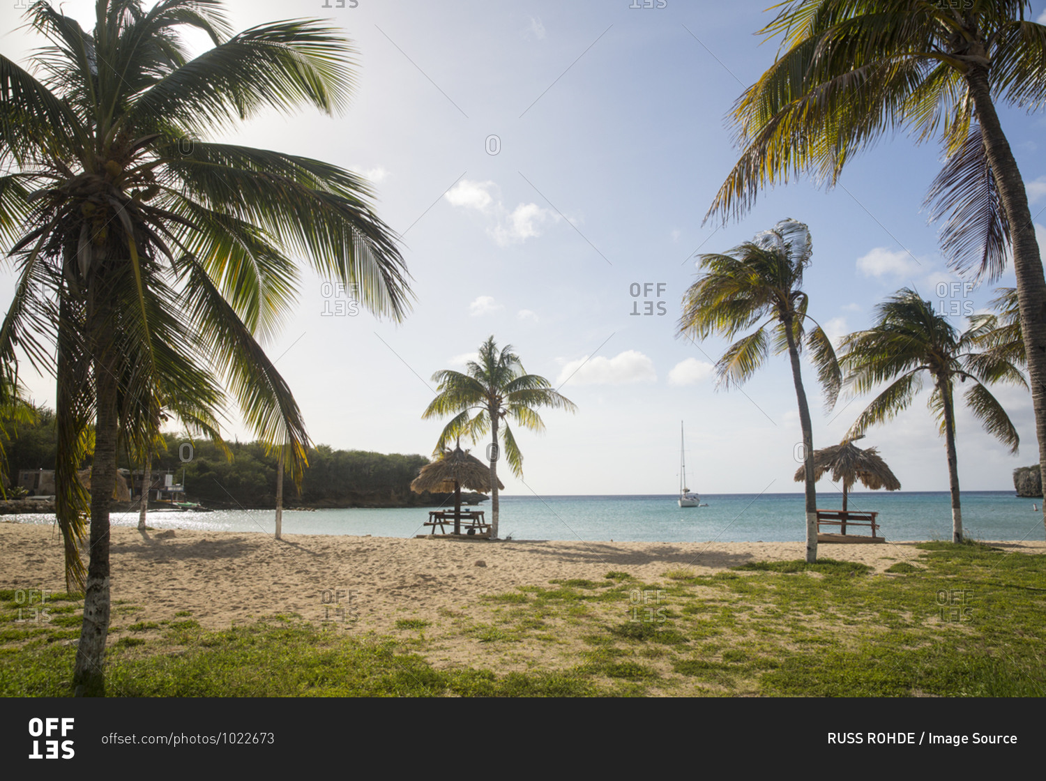 Beach umbrellas and palm trees on Santa Cruz beach, Curacao, Caribbean