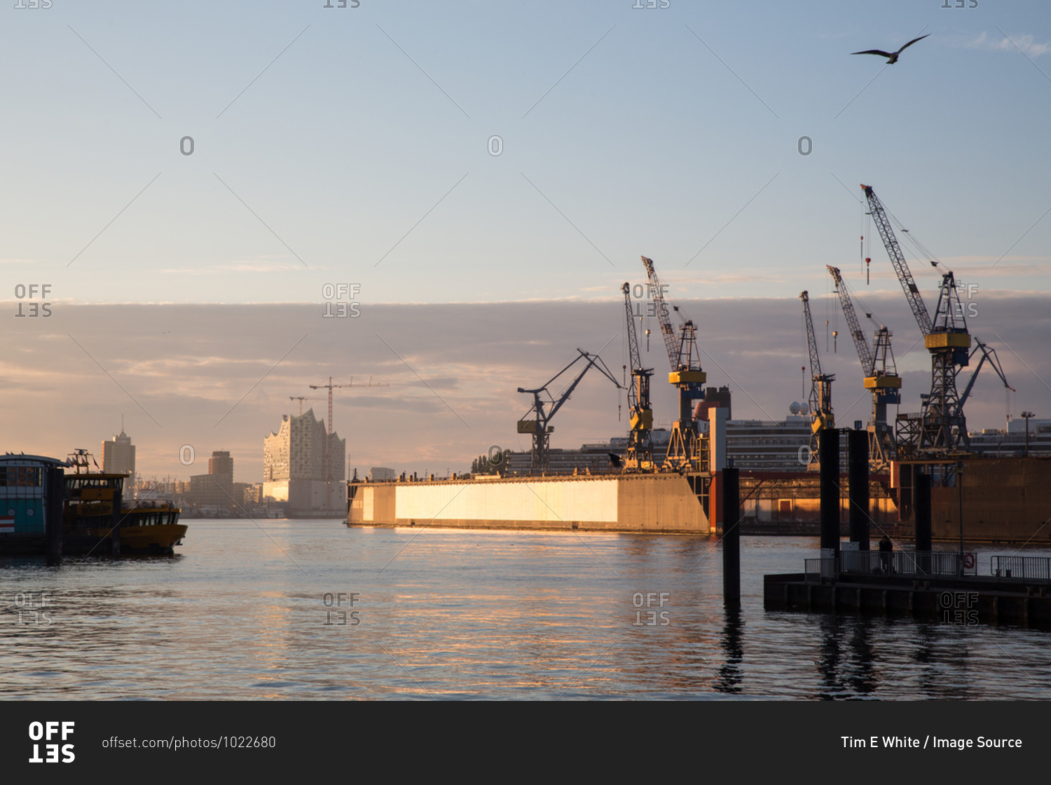 View of harbor cranes at sunset, Hamburg, Germany stock
photo - OFFSET